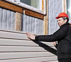 Best Custom Trim and Detailing for Siding  in Altoona, WI